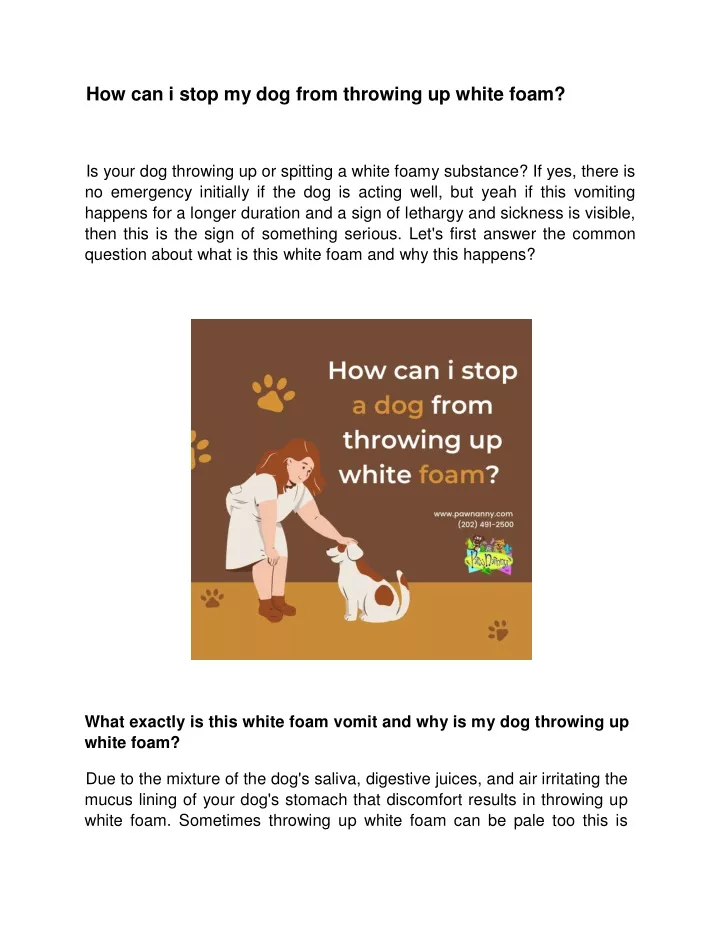 how can i stop my dog from throwing up white foam