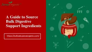 a guide to source bulk digestive support