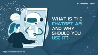 what is the chatgpt api and why should you use it