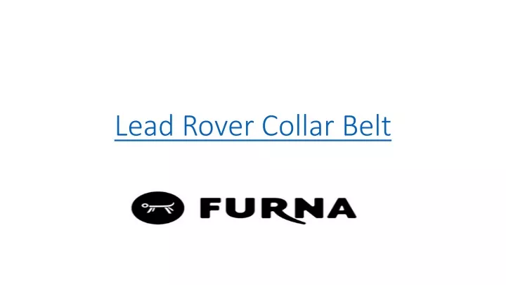 lead rover collar belt