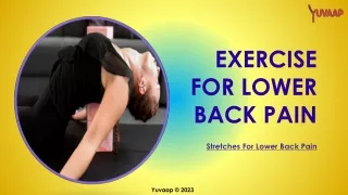 Exercise For Lower Back Pain