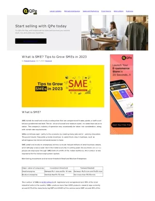 What is SME? Tips to Grow small businesses or SMEs in 2023