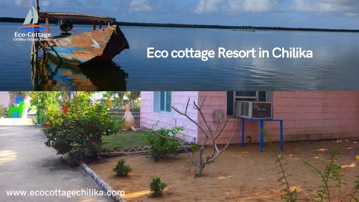 eco cottage resort in chilika