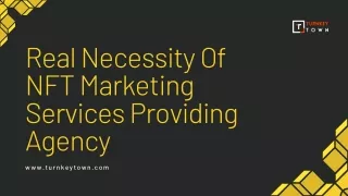Real Necessity Of NFT Marketing Services Providing Agency