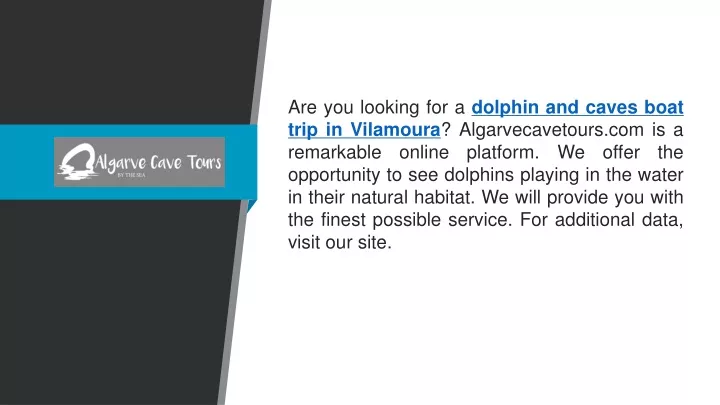 are you looking for a dolphin and caves boat trip