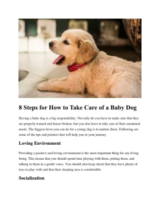 8 Steps for How to Take Care of a Baby Dog