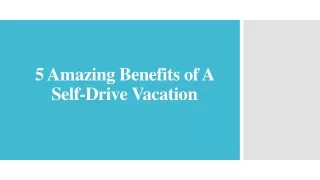 5 Amazing Benefits of A Self-Drive Vacation