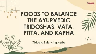 Foods To Balance Ayurveda Tridosha: Vata, Pitta, And Kapha
