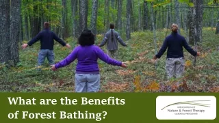 What Are The Advantages Of Taking A Forest Bath?