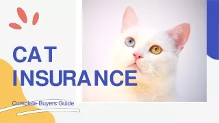 Cat Insurance
