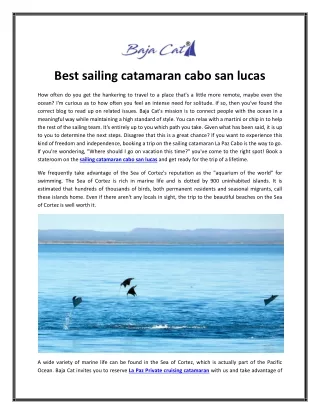Hire The Best sailing catamaran In cabo san lucas