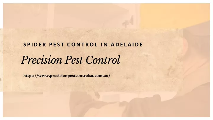 spider pest control in adelaide