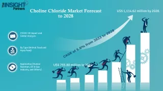 Choline Chloride Market Huge Growth Opportunity between 2022-2028