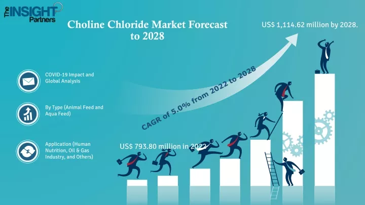 choline chloride market forecast to 2028