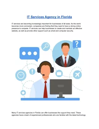 it services agency in florida
