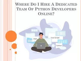 Where Do I Hire A Dedicated Team Of Python Developers Online