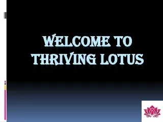 How to use social media for business - Thriving Lotus