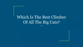 Which Is The Best Climber Of All The Big Cats_