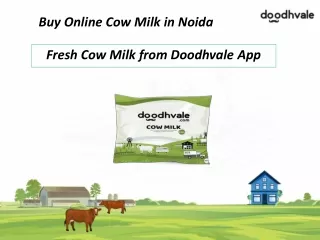 Buy online Pure Cow Milk in Noida at Best Price