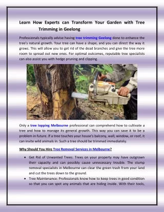 Learn How Experts can Transform Your Garden with Tree Trimming in Geelong