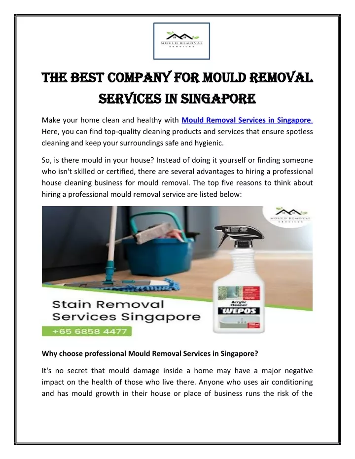 the best company for mould removal the best