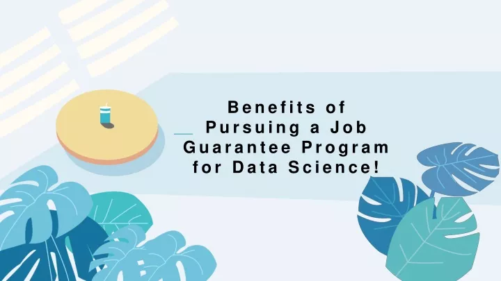 benefits of pursuing a job guarantee program for data science