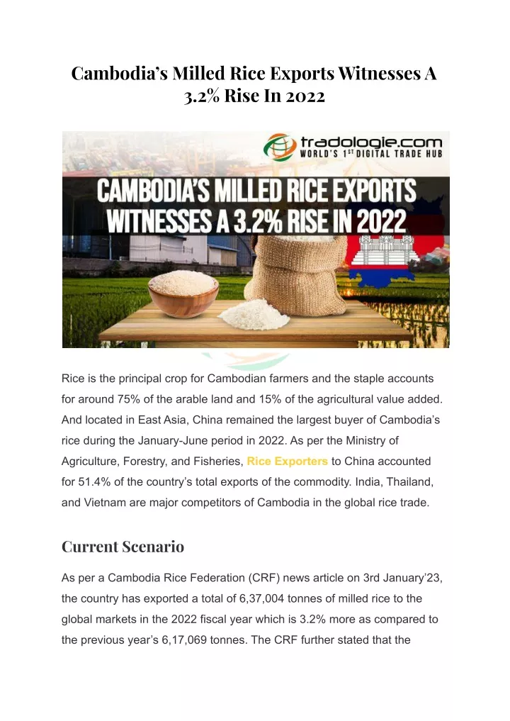 cambodia s milled rice exports witnesses