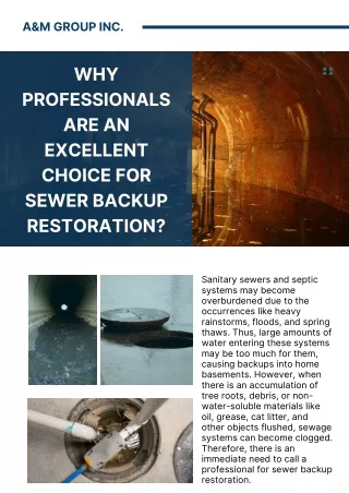 Why Professionals Are an Excellent Choice for Sewer Backup Restoration?