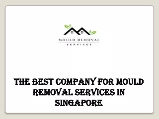 The Best Company for Mould Removal Services in Singapore