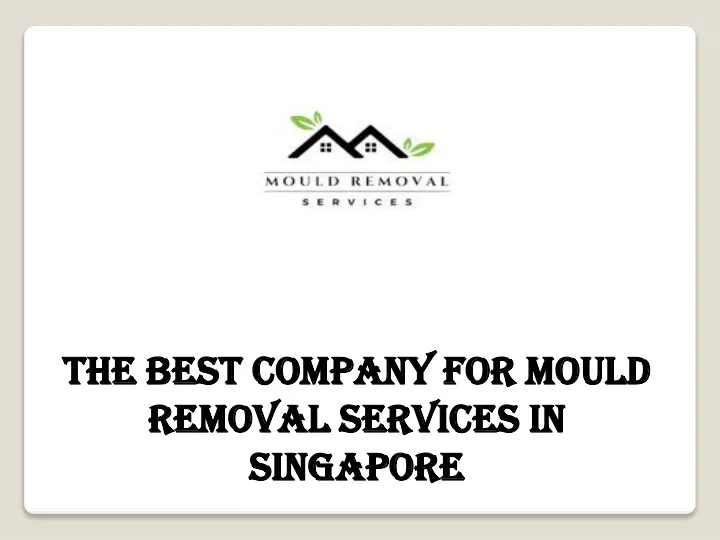 the best company for mould removal services