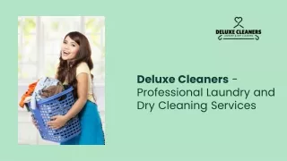 deluxe cleaners-PPT