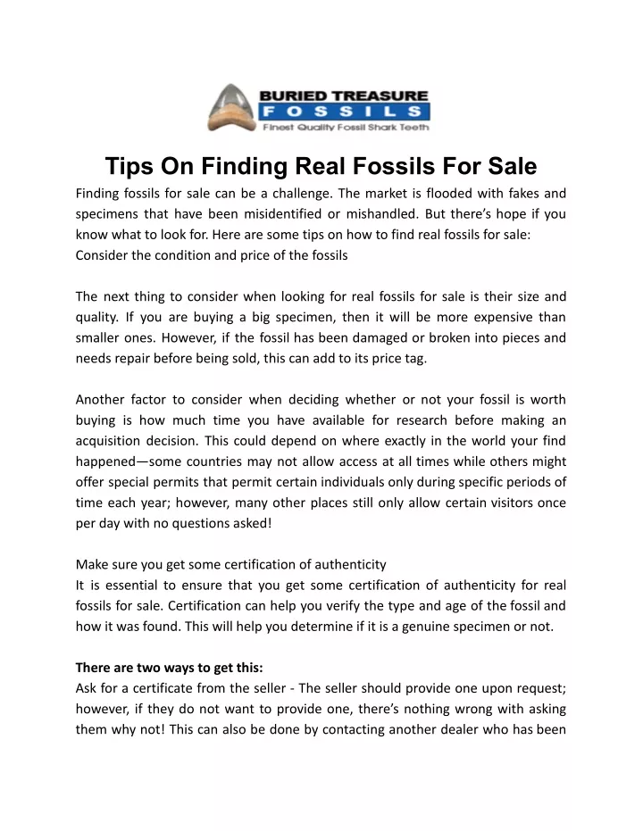 tips on finding real fossils for sale