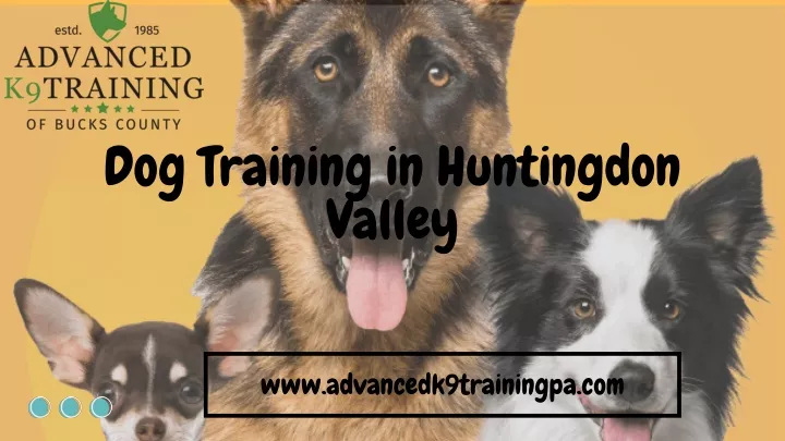 dog training in huntingdon valley