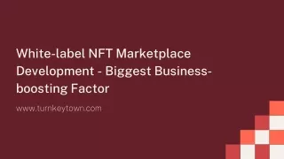 White-label NFT Marketplace Development - Biggest Business-boosting Factor