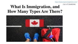 What Is Immigration, and How Many Types Are There