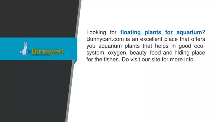 looking for floating plants for aquarium