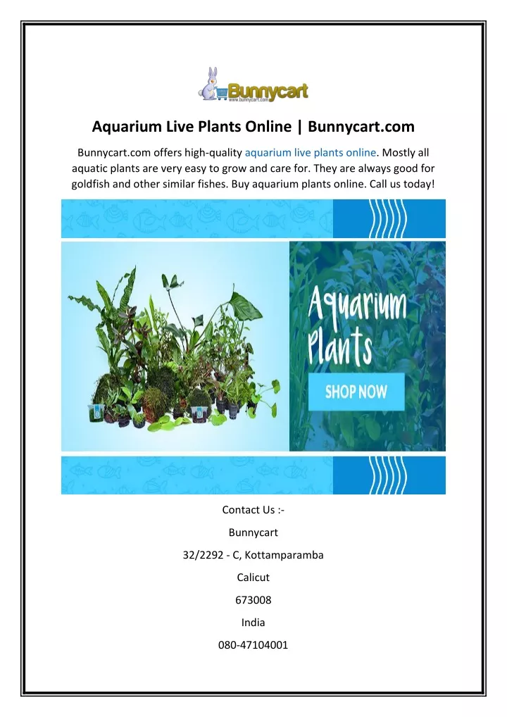 aquarium live plants online bunnycart com