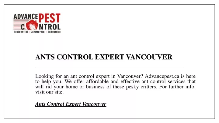 ants control expert vancouver