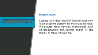 Bicycle Motor  Zoombicycles.com