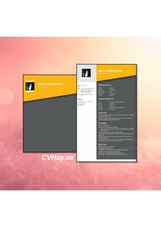 CVHay_Trình Dược Viên