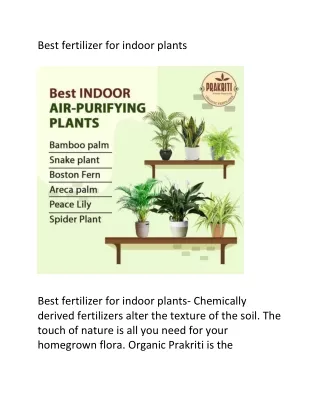Best fertilizer for indoor plants.2