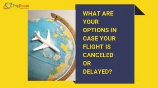 What are your options in case your flight is canceled or delayed