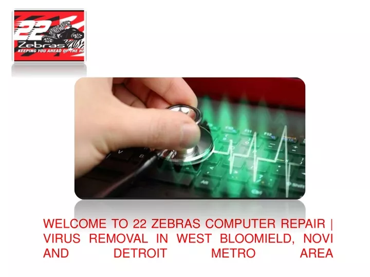 welcome to 22 zebras computer repair virus