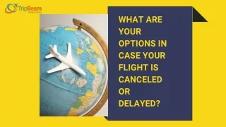 what are your options in case your flight