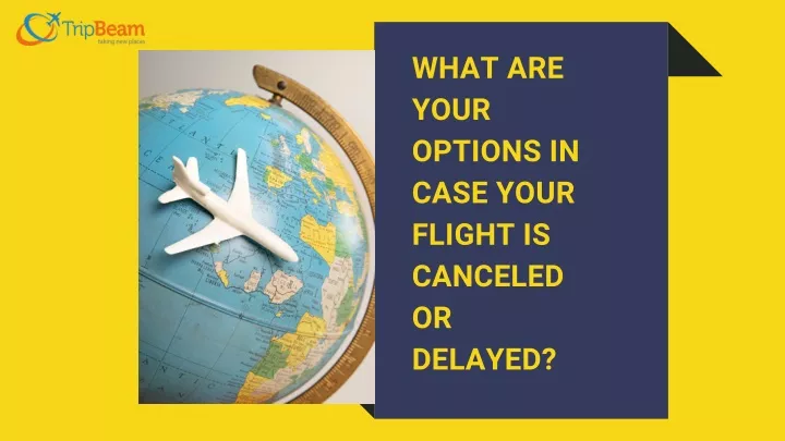 what are your options in case your flight