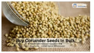 Buy Coriander Seeds In Bulk From Spice Exporters - Vyom Overseas