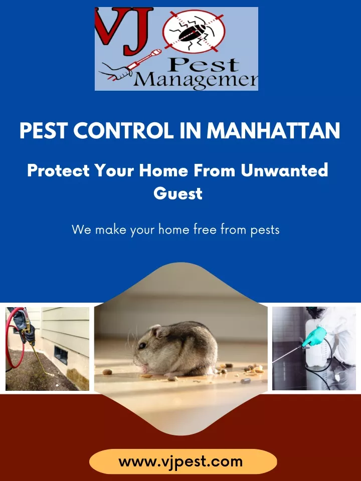 pest control in manhattan