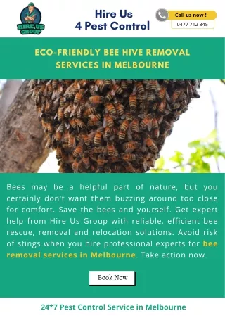 Eco-friendly Bee Hive Removal Services in Melbourne