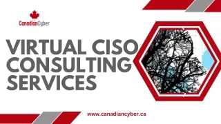 Best Virtual CISO Consulting Services in Canadian Cyber