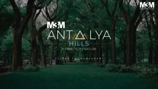 M3M Antalya Hills Sector 79 Brochure